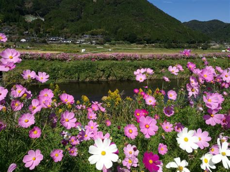 The Landscape Scroll – Uma Visão Épica do Cosmos Japonês e da Sublime Harmonia Natural!